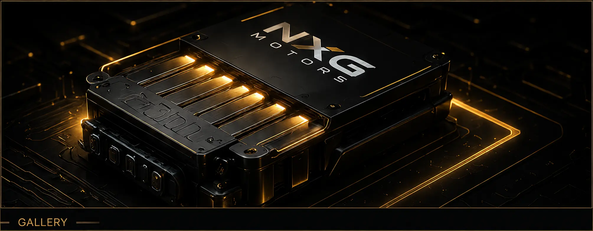 NXG battery pack